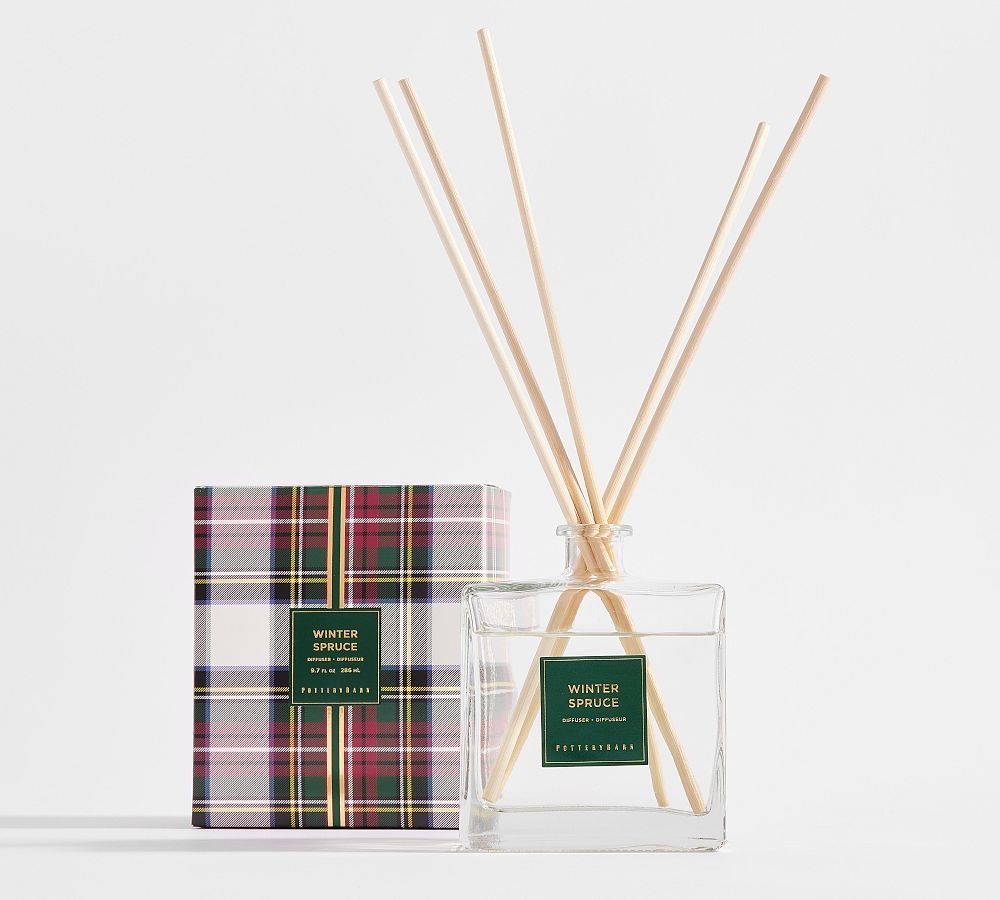 Winter Spruce Scent Collection | Pottery Barn (US)
