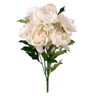 Cream Peony Bush by Ashland® | Michaels | Michaels Stores