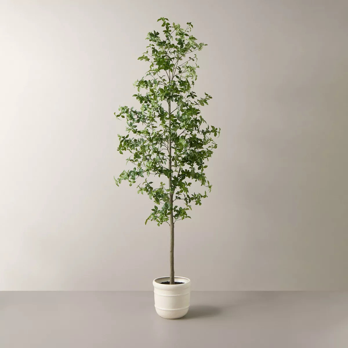 8' Faux Gypsophila Leaf Potted Tree - Hearth & Hand™ with Magnolia | Target