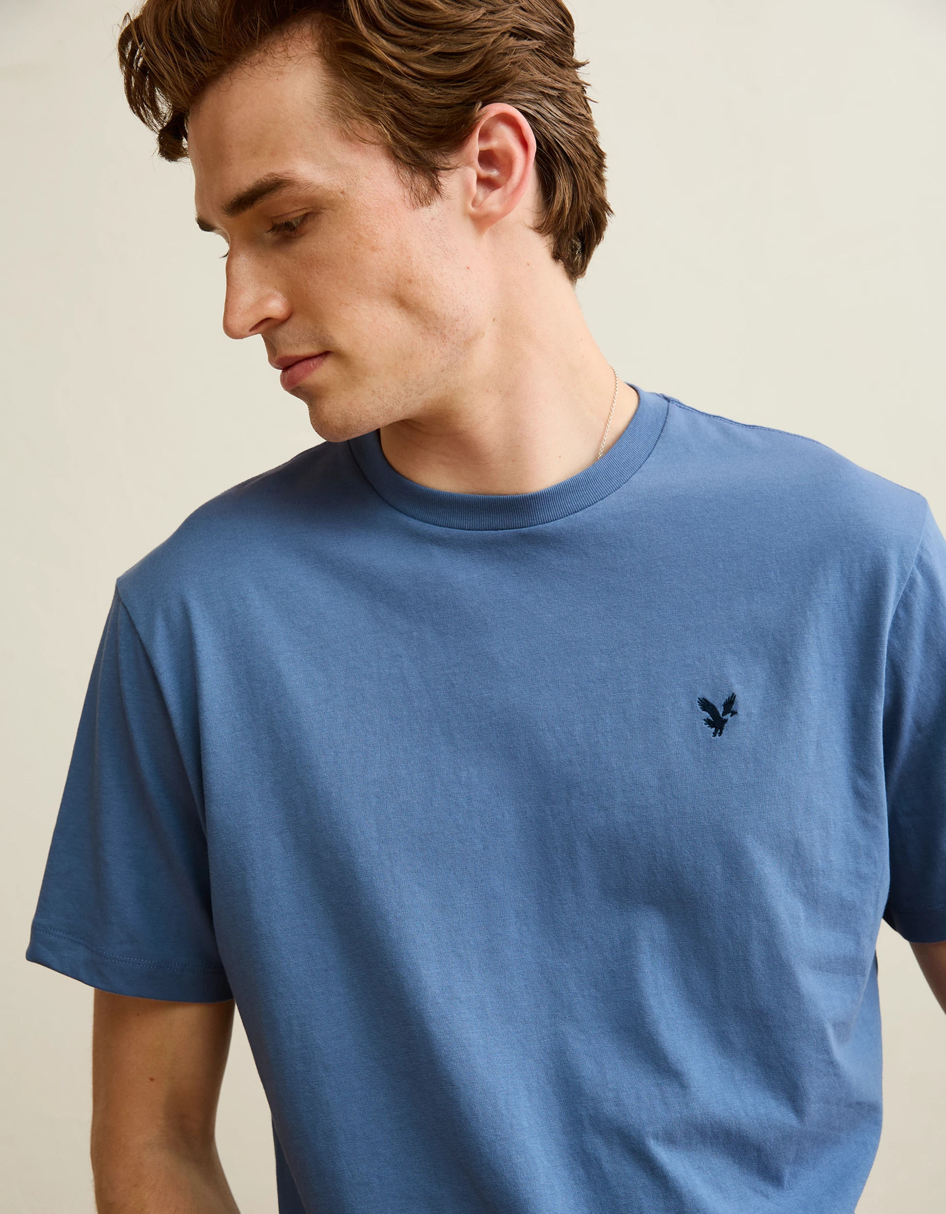 AE Standard Fit Lightweight Logo T-Shirt | American Eagle Outfitters (US & CA)