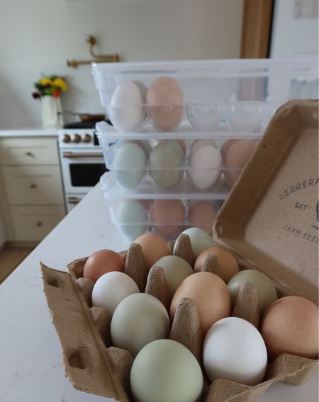Amazon kitchen find. Egg cartons 🥚 

#LTKfamily #LTKparties #LTKfindsunder50