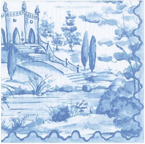 Caspari Tuscan Toile Paper Luncheon Napkins in Blue - 20 Per Package | Amazon (US)