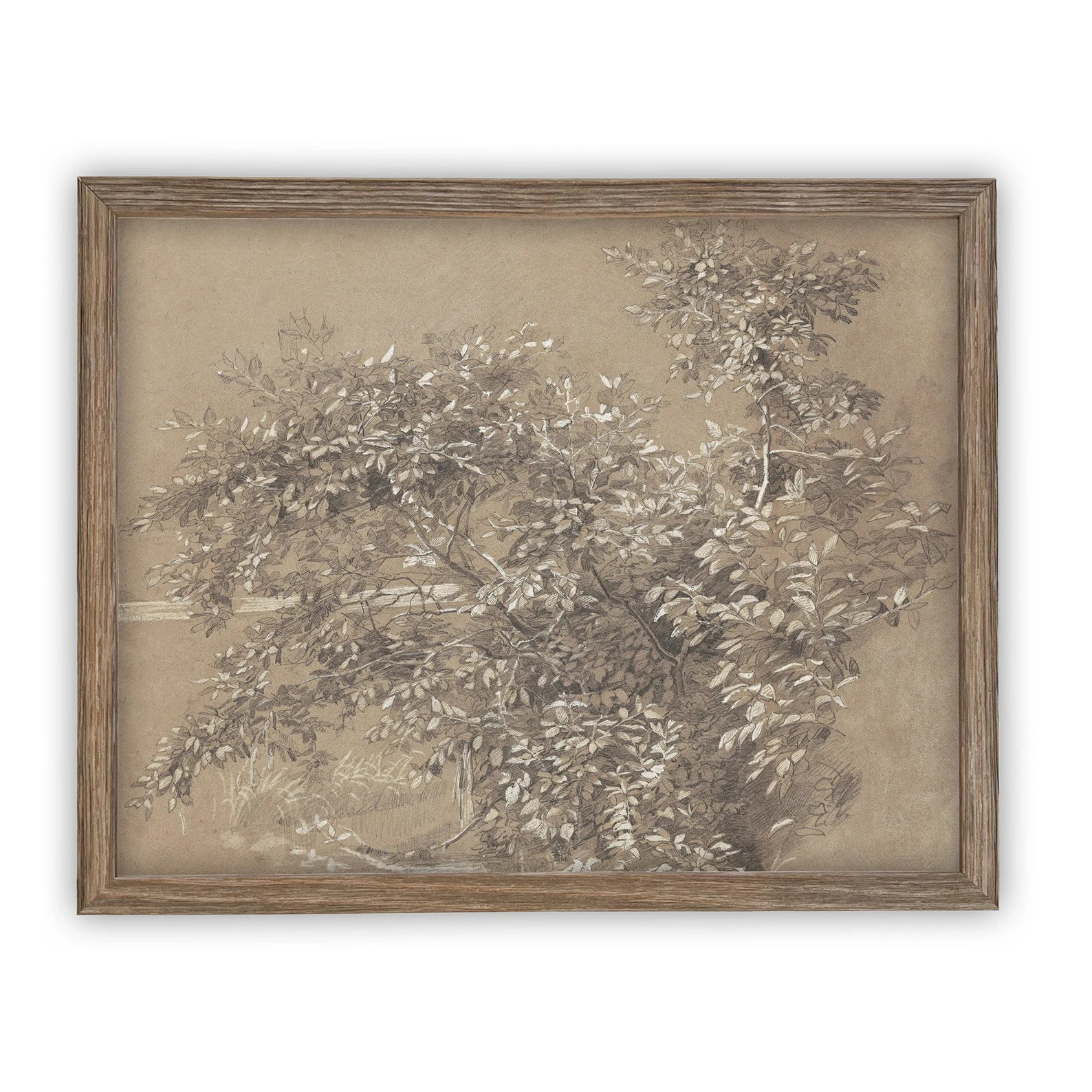 Vintage Framed Canvas Art // Framed Vintage Print // Vintage - Etsy | Etsy (US)