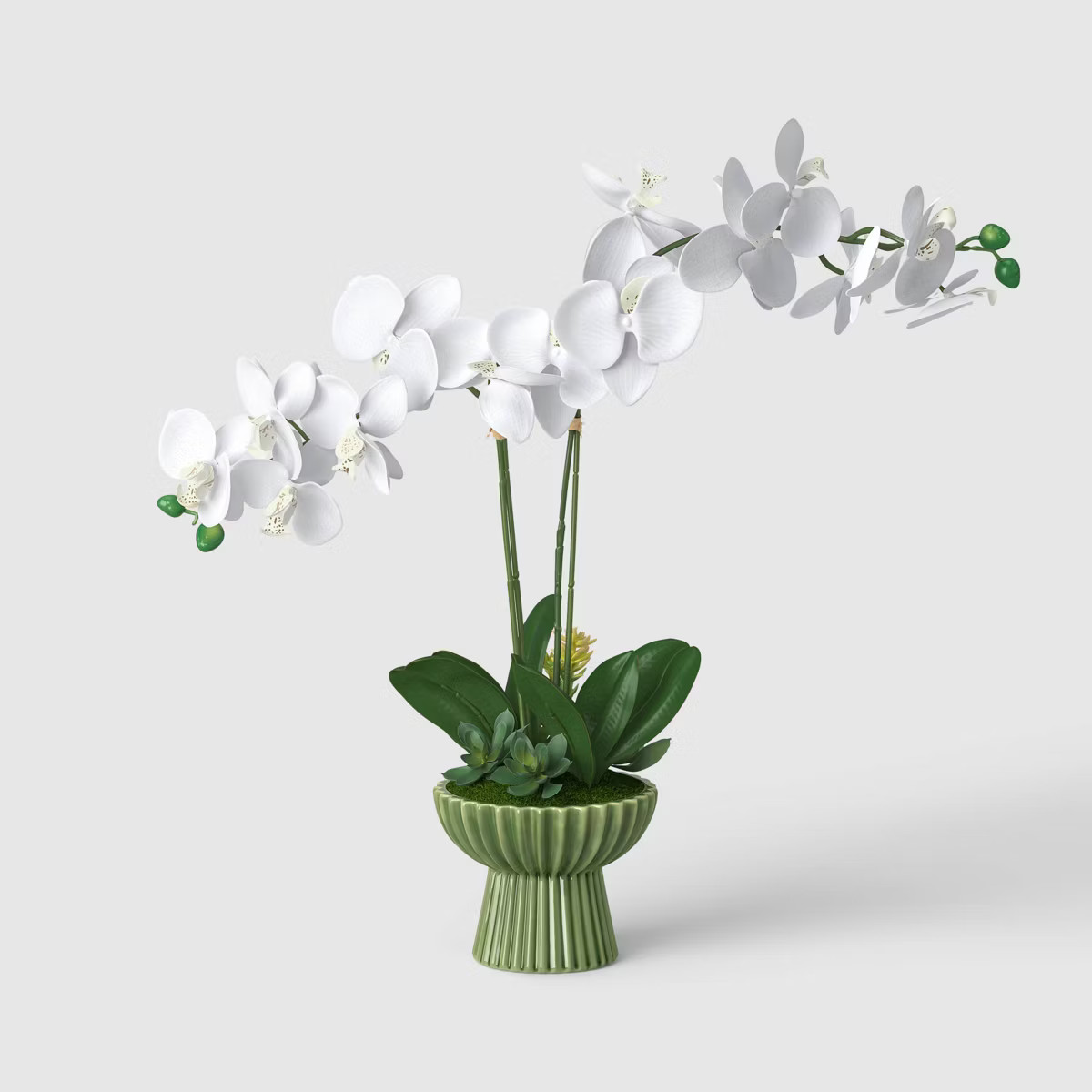22" Elevated Orchid Plant - Threshold™ | Target