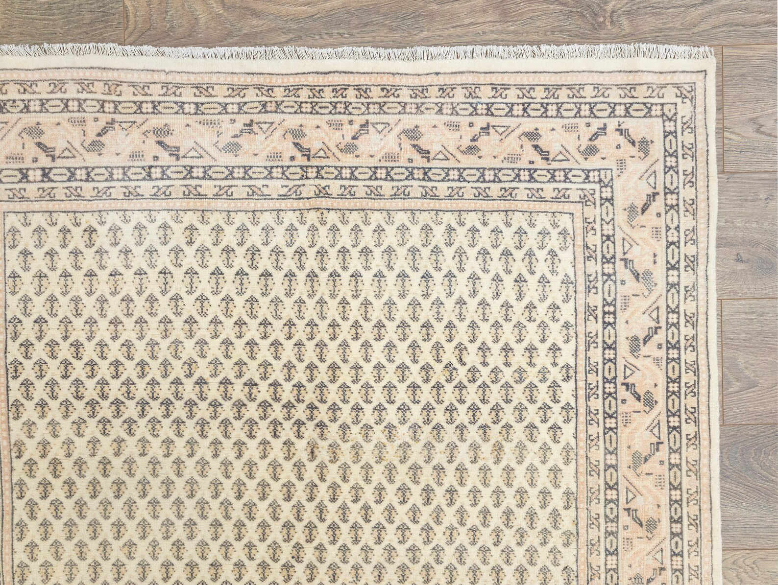 Turkish Oushak Rug (4.3 x 6.5 ft): Cream Ivory & Midnight Blue Wool Carpet | Etsy (US)