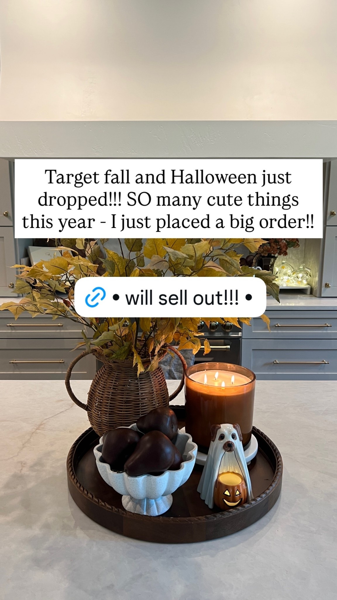 Target fall and Halloween just dropped!!! SO many cute things this year - I just placed a big order!!