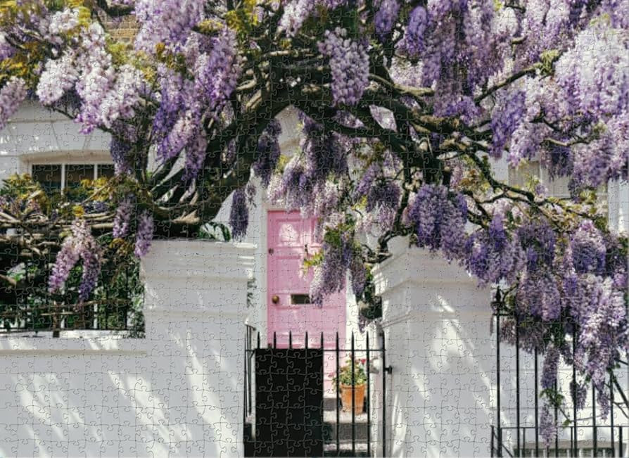 Puzzles for Adults 1000 Pieces Jigsaw Puzzles Blossoming wisteria tree covering up a facade a hou... | Amazon (US)
