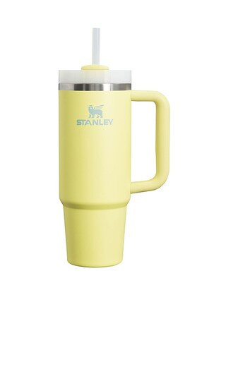STANLEY The Quencher H2.O Flowstate Tumbler 30oz in Yellow. | Revolve Clothing (Global)