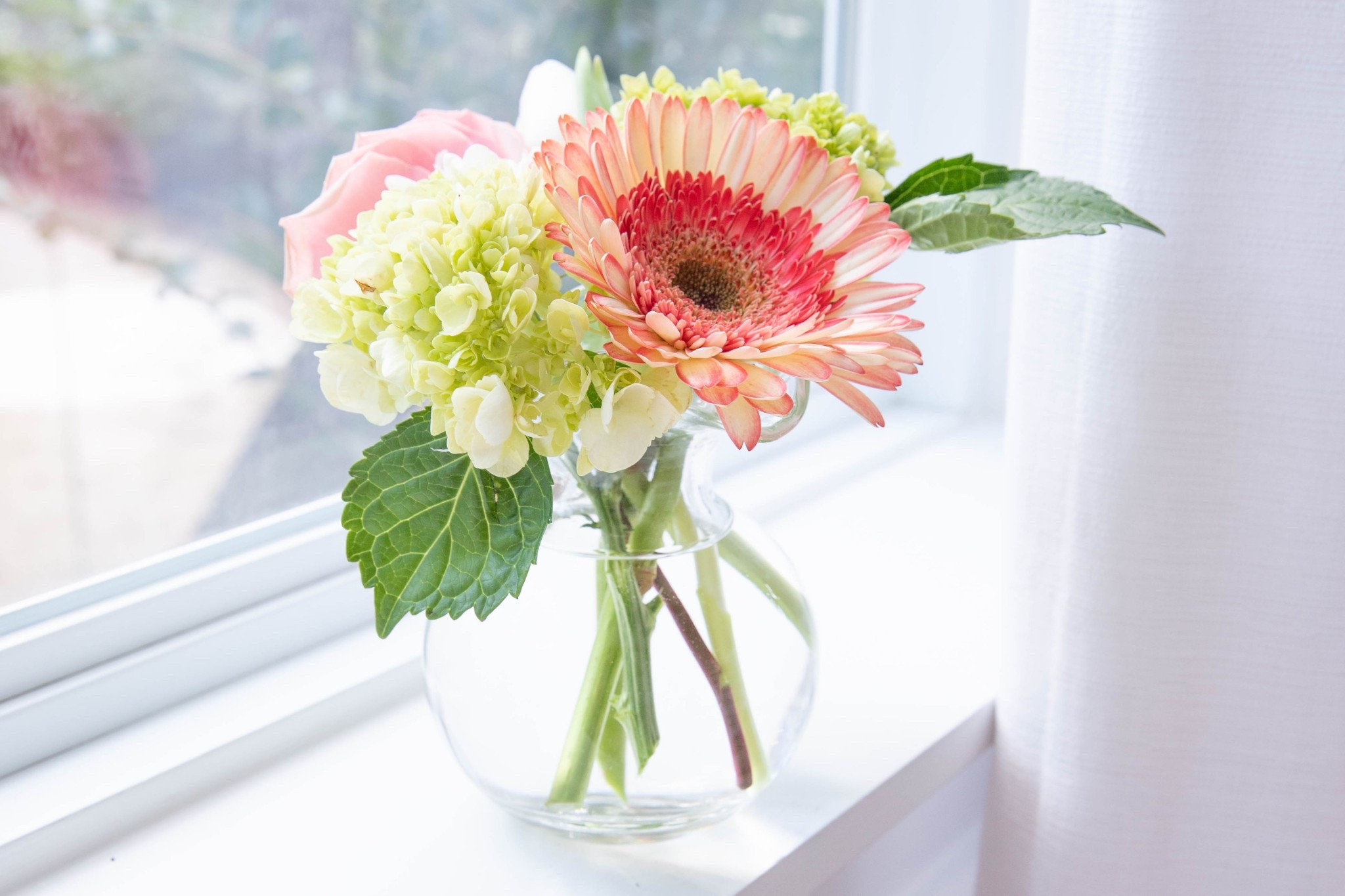 One of my go to gifts! This makes a beautiful Mother’s Day gift, hostess gift. This hibiscus vase makes it easy to arrange flowers! Can get on Amazon and comes in a beautiful box! 

#LTKHome