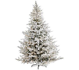 8' Lit Fir Christmas Tree by Nearly Natural | QVC