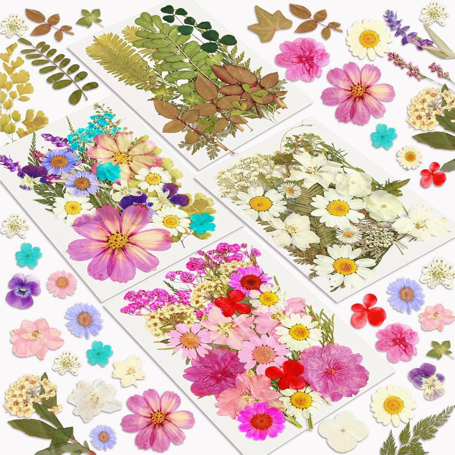 Resiners | Amazon (US)