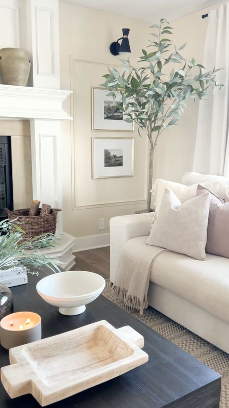 Neutral Living Room Inspo - Affordable Living Room finds 

So many great items at great prices!!

Faux tree, eucalyptus tree, faux greenery, spring floral, home decor, shelf decor, table decor, wall decor, wall frame, gallery wall, decorative bowl, vase, throw pillow cover, throw blanket, neutral throw pillow, curtains, neutral curtains, wall sconces, sofa, couch, amazon home, Amazon finds, target, target home 

#LTKfindsunder100 #LTKhome #LTKsalealert