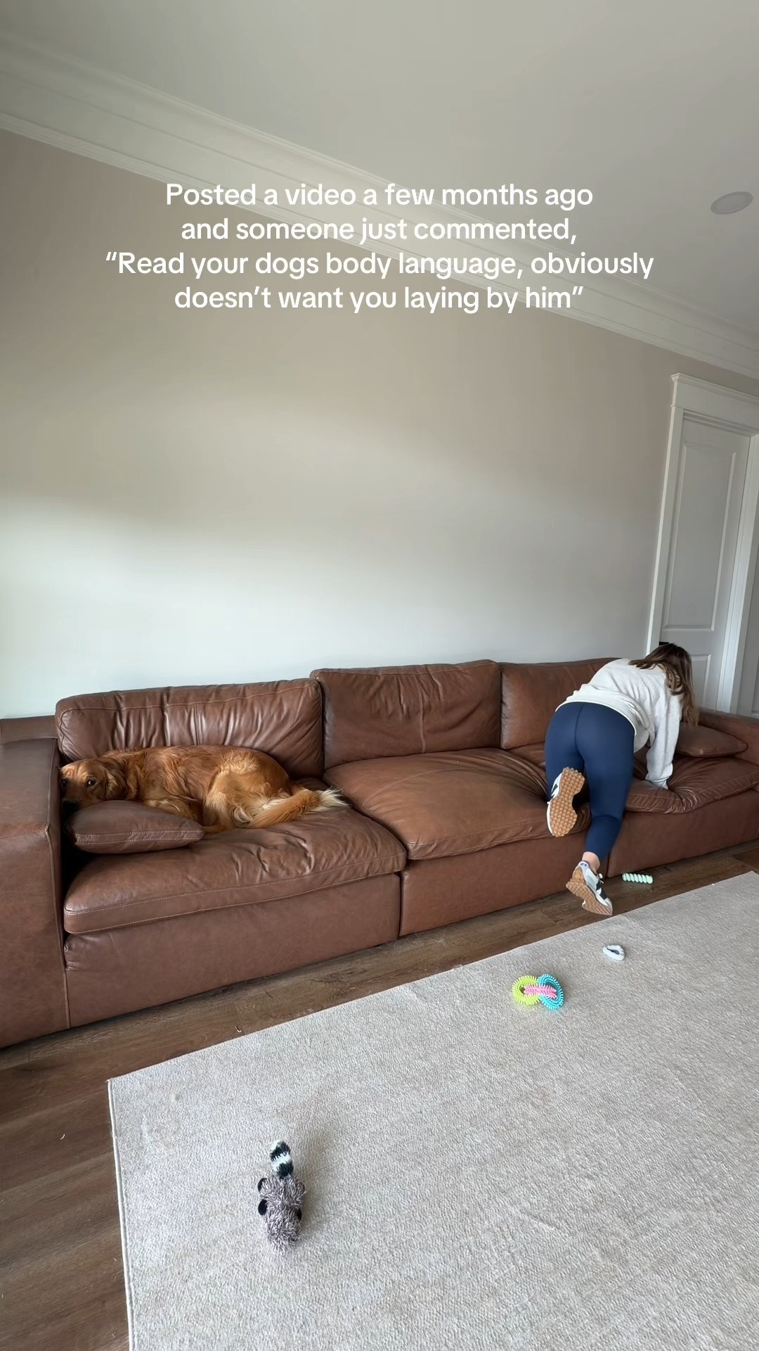 The viral couch!

#LTKHome