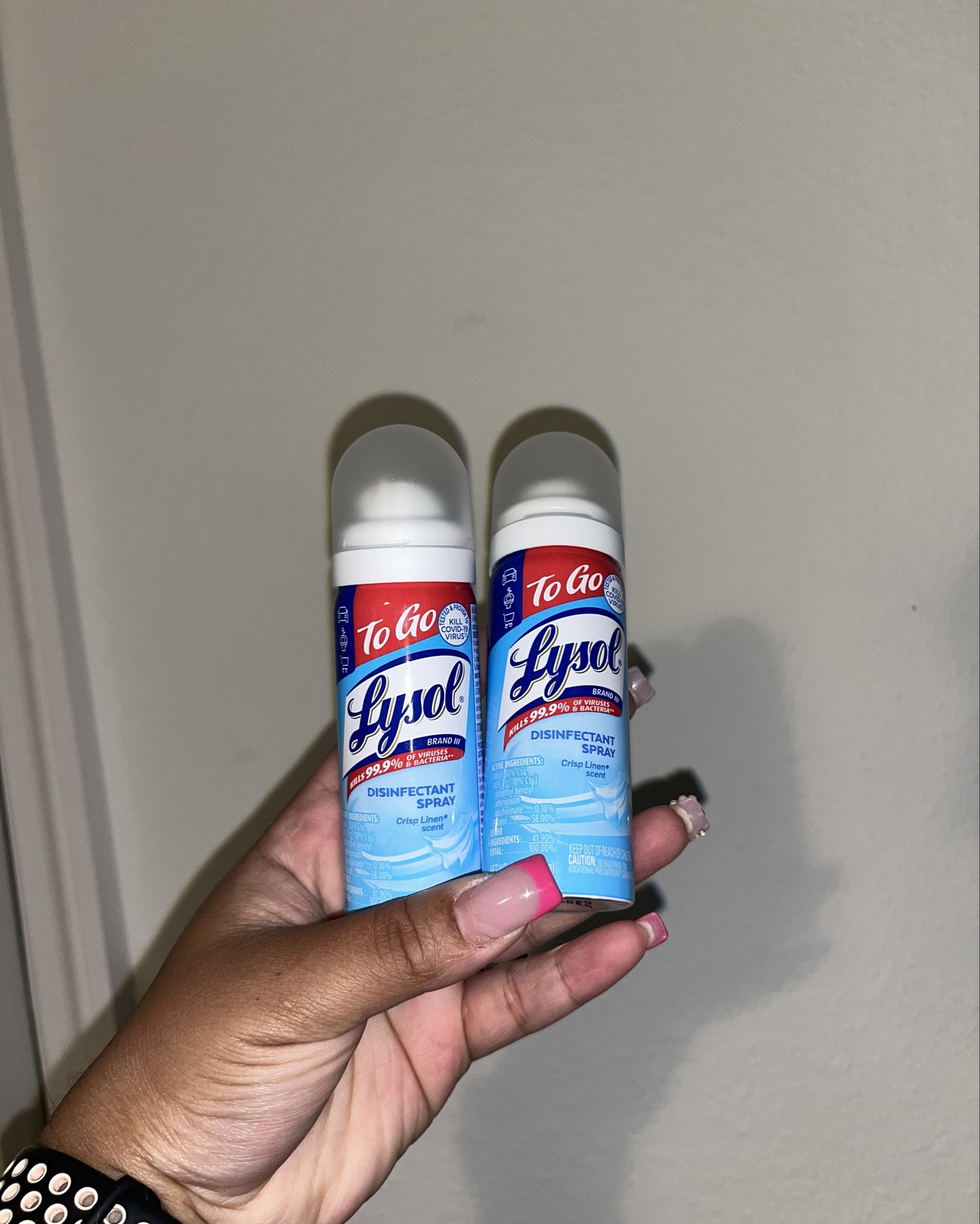 Lysol spray and Clorox wipes 

#LTKU #LTKfamily #LTKtravel