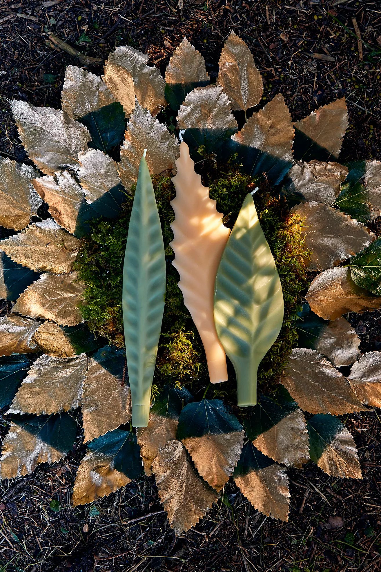 Leaf Taper Candle | Terrain