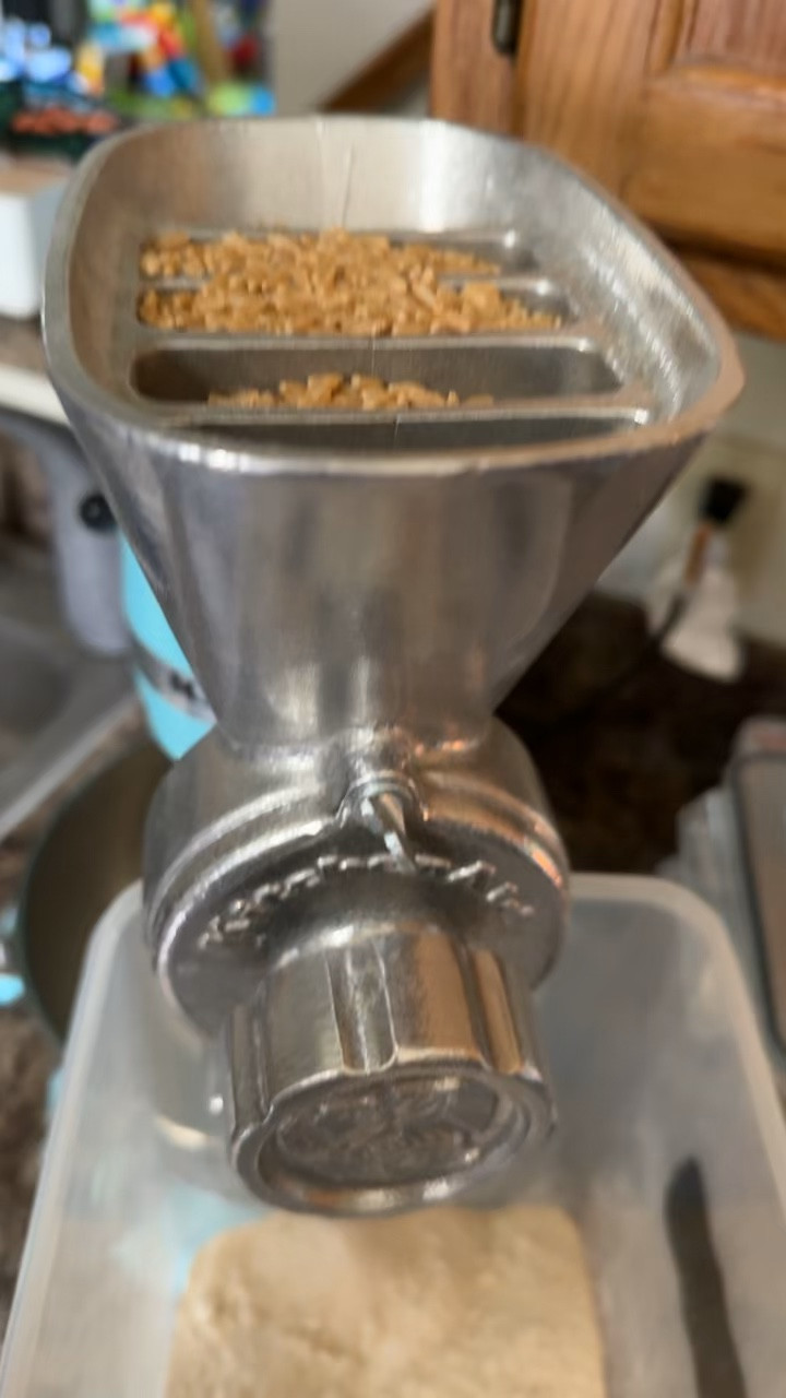 It’s that time again!!! Freshly milled flour is far superior than what you buy off the shelf! Not only is it rich in nutrients and so much easier on you to digest it also isn’t loaded with chemical and fake nutrients! 

#LTKVideo #LTKfamily #LTKhome