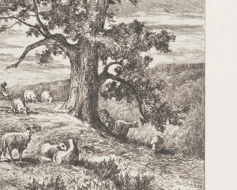 Vintage Drawing  Tree Sketch  PRINTABLE Art  Vintage Art  | Etsy | Etsy (US)