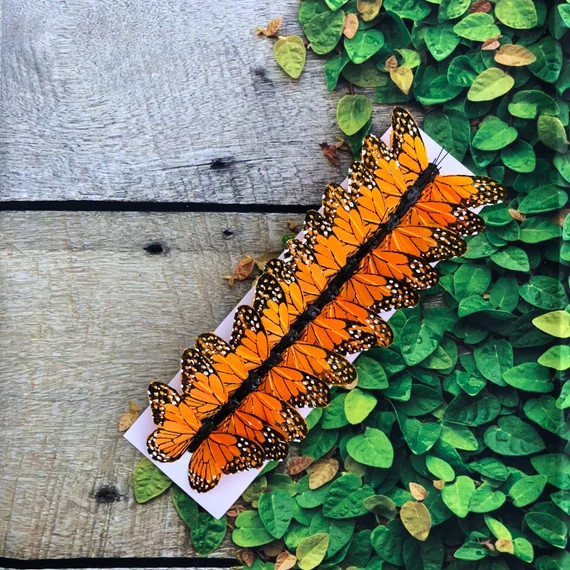 12 Feather Monarch Butterflies 3inch Artificial Feather | Etsy | Etsy (US)