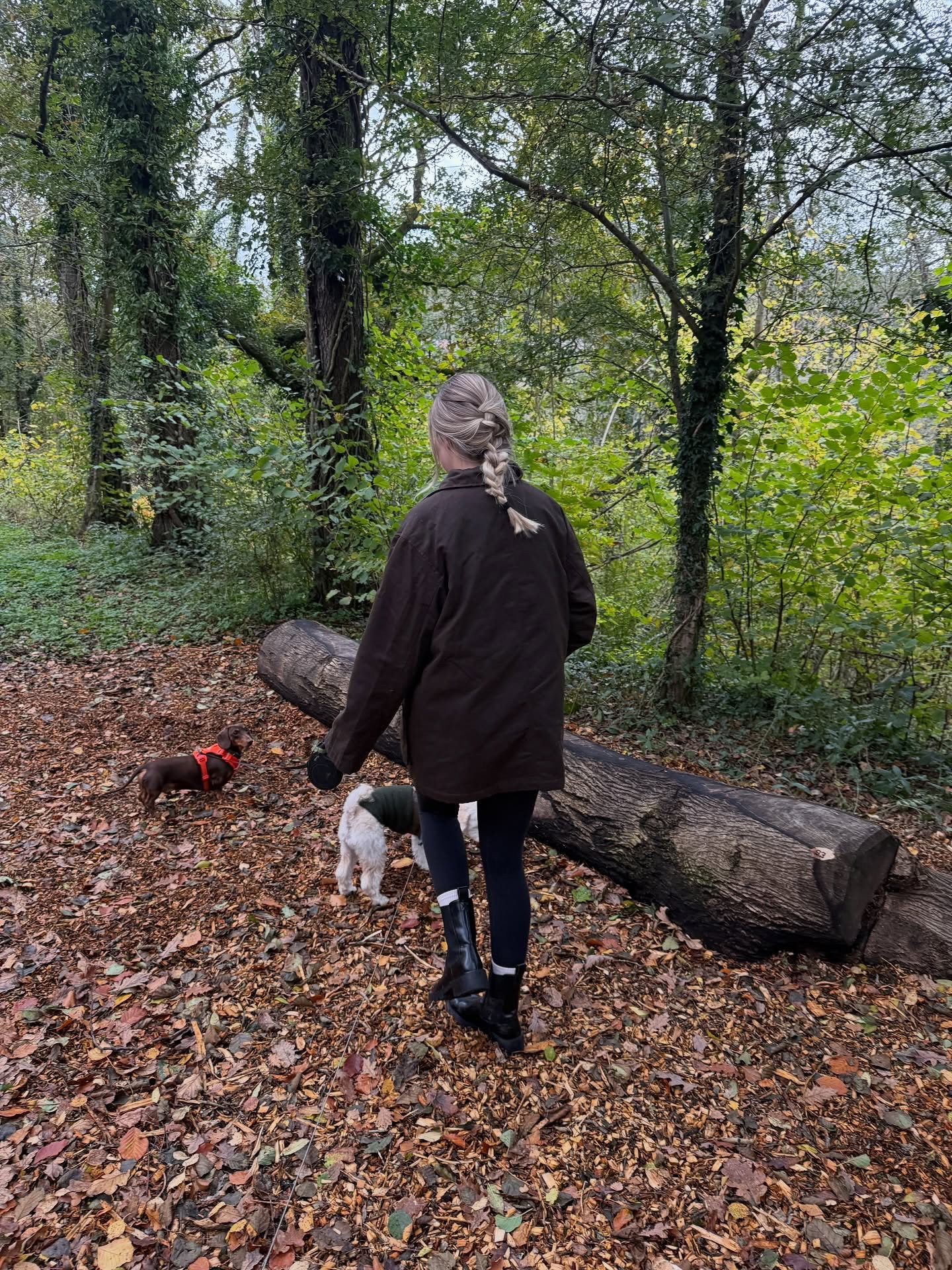 Autumn walks on the weekend followed by a coffee and puppachinos☕️ feat a French braid that fell out by the end of the walk x

#autumnoutfits #autumnoutfit #autumnwalk