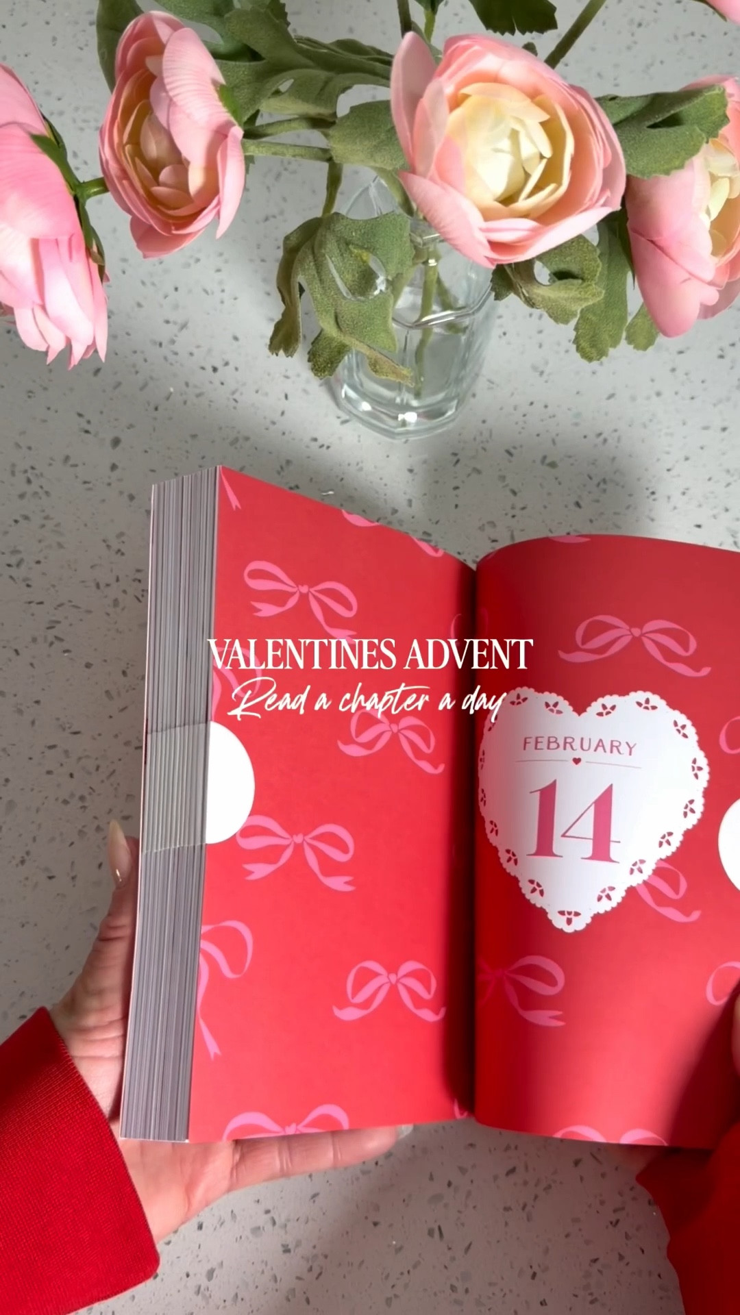 Valentines advent book re-read a chapter a day until Valentine’s Day!

Such a fun Valentines gift idea for the girl who loves to read.

#booktok #bookish #target #targetfind 

#LTKstorytime #LTKselfcare #LTKSeasonal