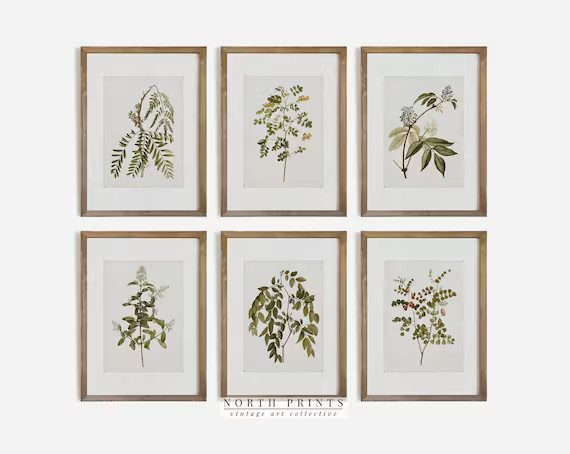 Vintage Botanical Gallery Wall Print SET  Rustic Wall Decor | Etsy | Etsy (US)