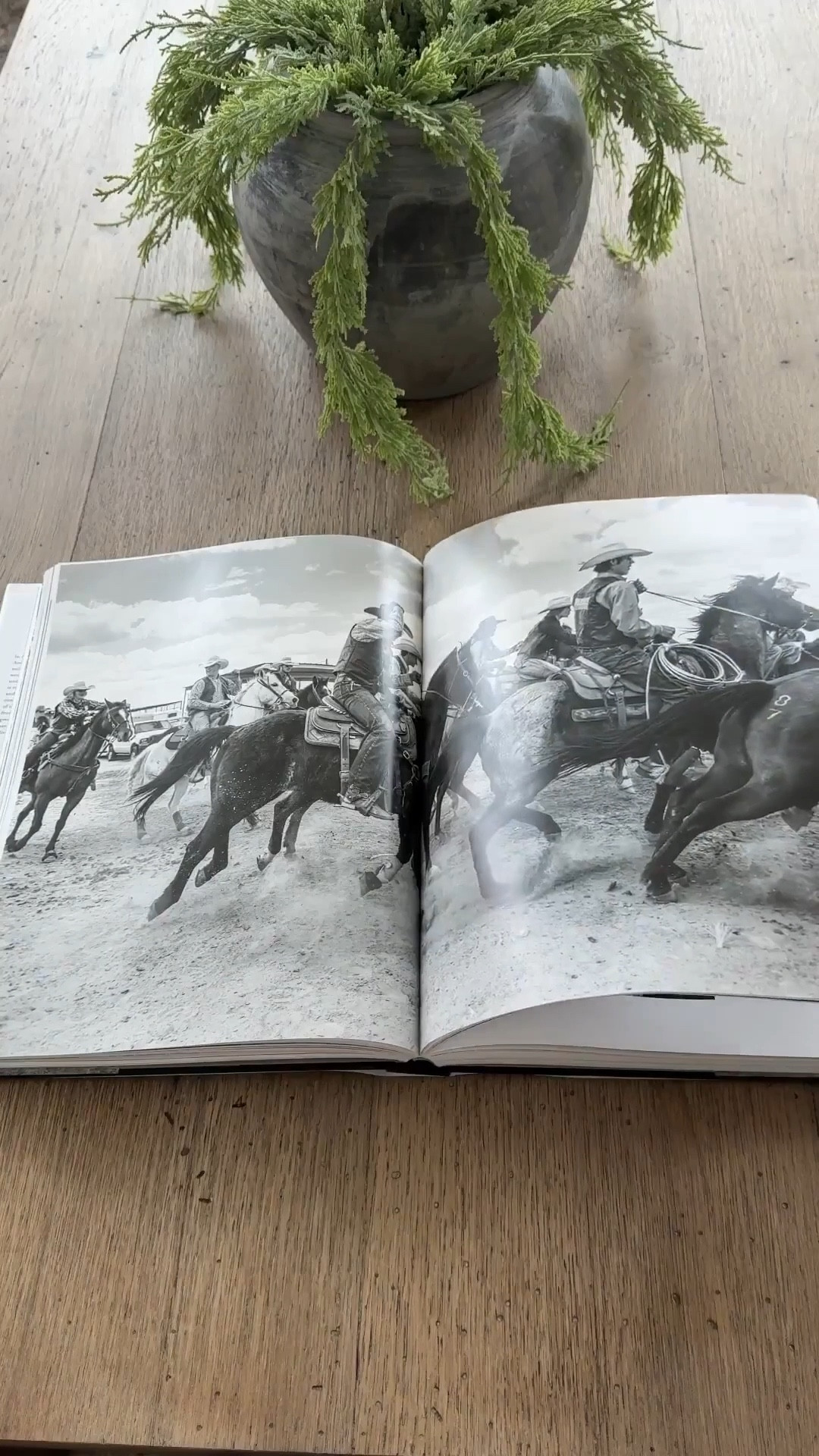 Home | Home Decor | Home Finds | Modern Home | Neutral Home | Neutral Style | Arched Manor | Coffee Table Book | Textured Vase | Spring Decor | Book | Amazon Finds | Wayfair Home | Amazon Home | Pillows #homedecor #archedmanor #modernhome #neutralstyle 


#LTKSeasonal #LTKHome