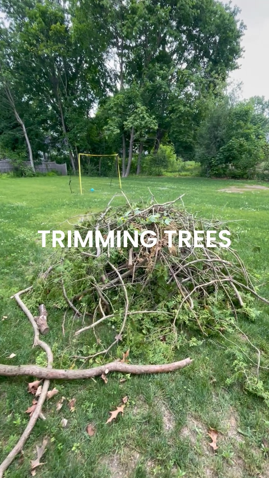 This pole trimmer made this project so easy! Satisfaction guaranteed 💪🏻

#LTKHome #LTKSummerEdit #LTKSeasonal