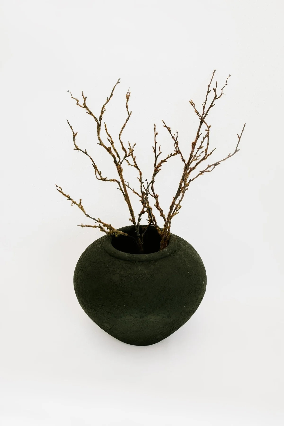 Lore Terracotta Pot | THELIFESTYLEDCO