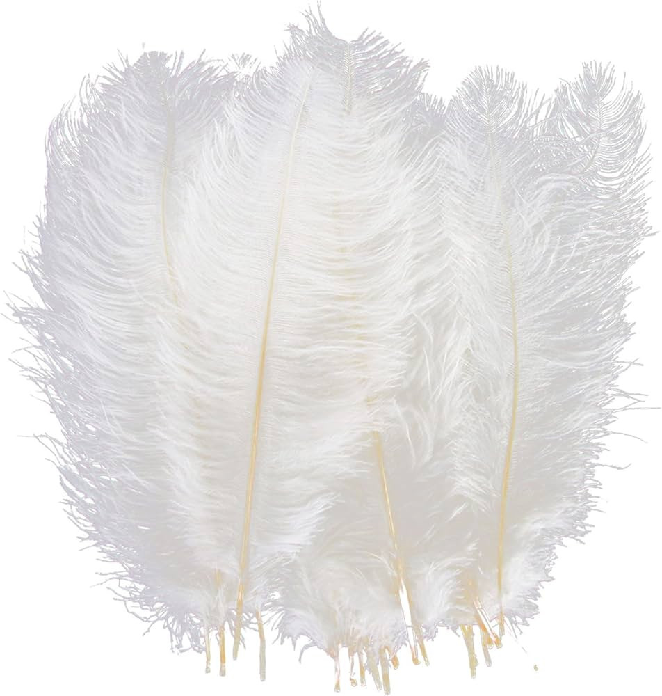 AWAYTR 10-12 inch (25-30cm) Natural Ostrich Feathers for Wedding Centerpieces Home Decoration,Flo... | Amazon (US)