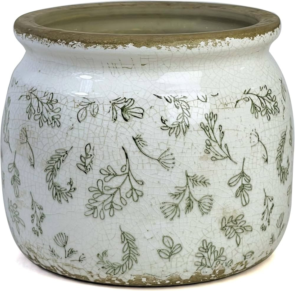 Vintage Ceramic Ice Crack Flower Pot with Drainage Holes, Country Rustic Planters for Indoor and ... | Amazon (US)