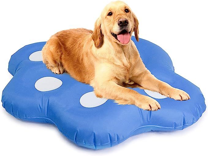 Amazon.com: Milliard Dog Float for Pool, Inflatable Stay Dry Float for Large Dogs Up to 220 lb : ... | Amazon (US)