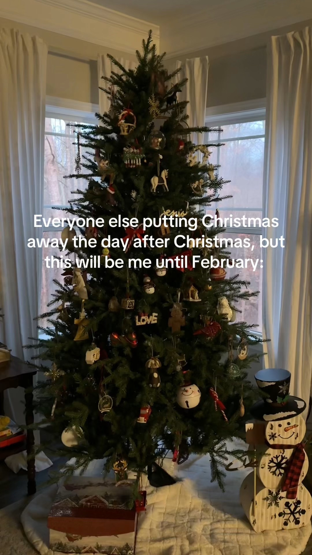 It always goes by too fast 🥲 we start by taking the ornaments off, but we leave the tree up until at least New Year’s! 🎄✨

(For reference, we have the 7.5’ full but the Grand Duchess tree is also available in 9, 12, and 15ft along with slim or full and flocked or in-flocked options!)
.
.
.
Home Depot Viral Grand Duchess Christmas Tree - Twinkling Lights - Holiday Home Decor - Sale Alert 

#LTKHome #LTKstorytime #LTKHoliday