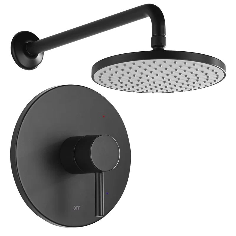 Shower Faucet with Rough-in Valve | Wayfair North America