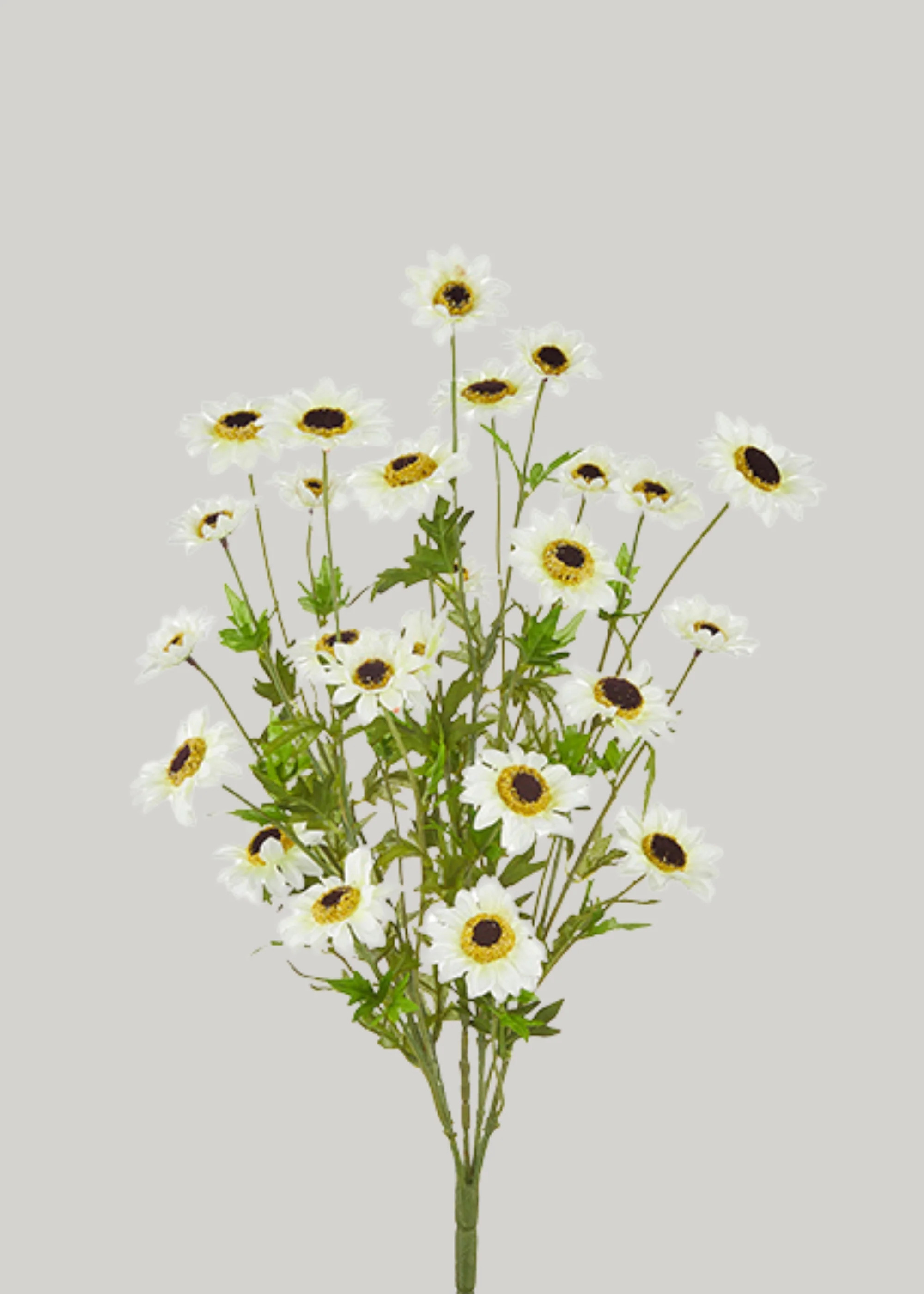 Black-Eyed-Susan Bush in White | Artificial Wildflowers | Afloral | Afloral