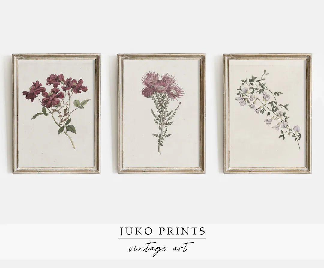 Printable Wall Art | Gallery Print Set Of 3 (Three) Botanical Vintage Paintings For Home Decor | ... | Etsy (US)