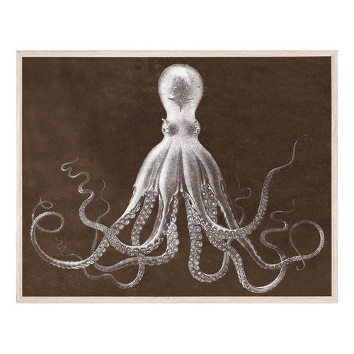 Lord Bodner in Brown | Jonathan Adler