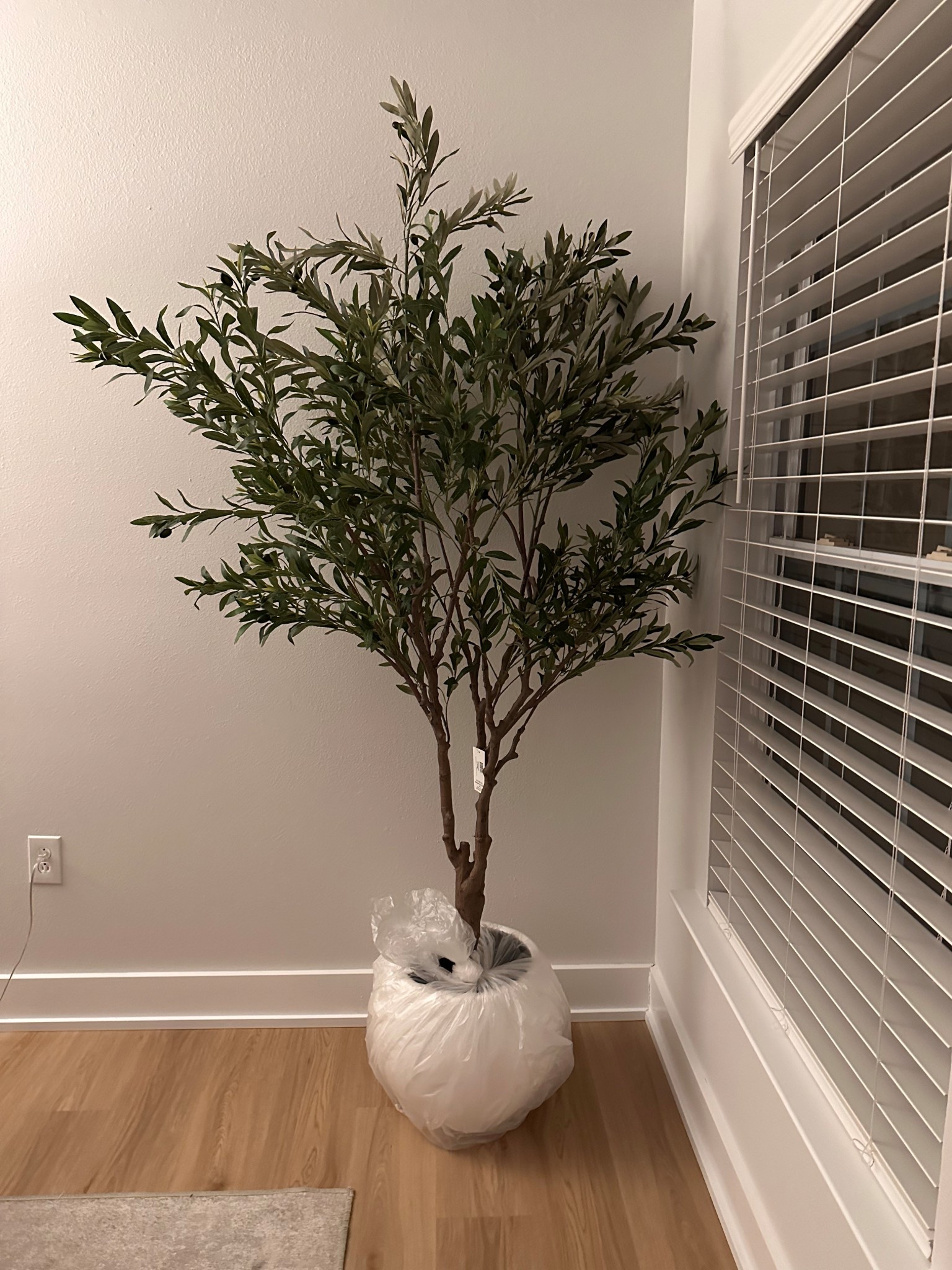 Now $98‼️ Sam’s Club artificial 7 foot olive tree in oversized white pot. I’ve been eyeing this for a few months and was so excited to see it go on sale!! Selling quickly so don’t miss out🏃🏼‍♀️ it looks just like more expensive ones I’ve been seeing on other sites and honestly it looks so real in person! I’m picky when it comes to faux plants/greenery and this is so good 

Faux tree, faux plant, artificial tree, olive tree, house plant, faux greenery, under 100

#LTKHome #LTKSeasonal #LTKSaleAlert