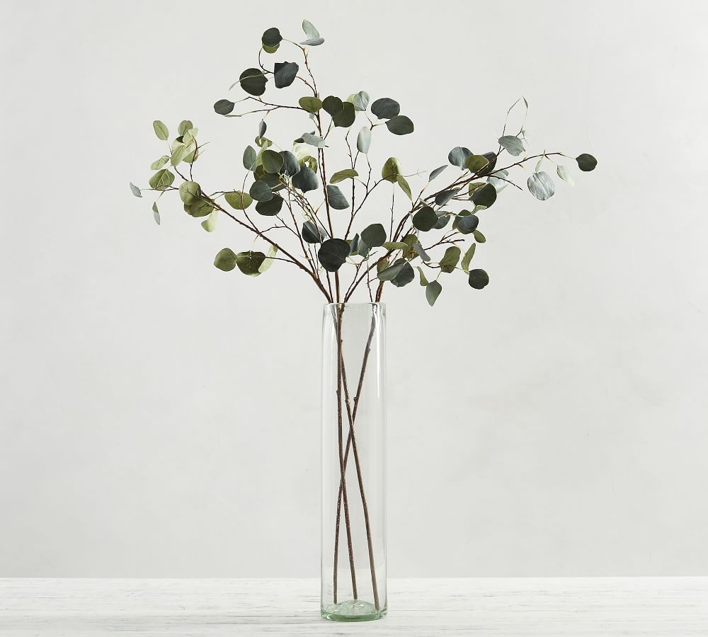 Faux Silver Dollar Eucalyptus Branch | Pottery Barn (US)