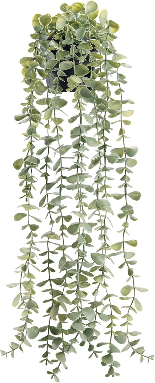 Der Rose 24" Fake Hanging Eucalyptus Plant for Bathroom Wall Art Decor | Amazon (US)