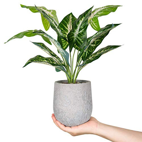 Der Rose 16'' Fake Plants Artificial Potted Greenery Faux Plants for Office Desk Home Bathroom Decor | Amazon (US)
