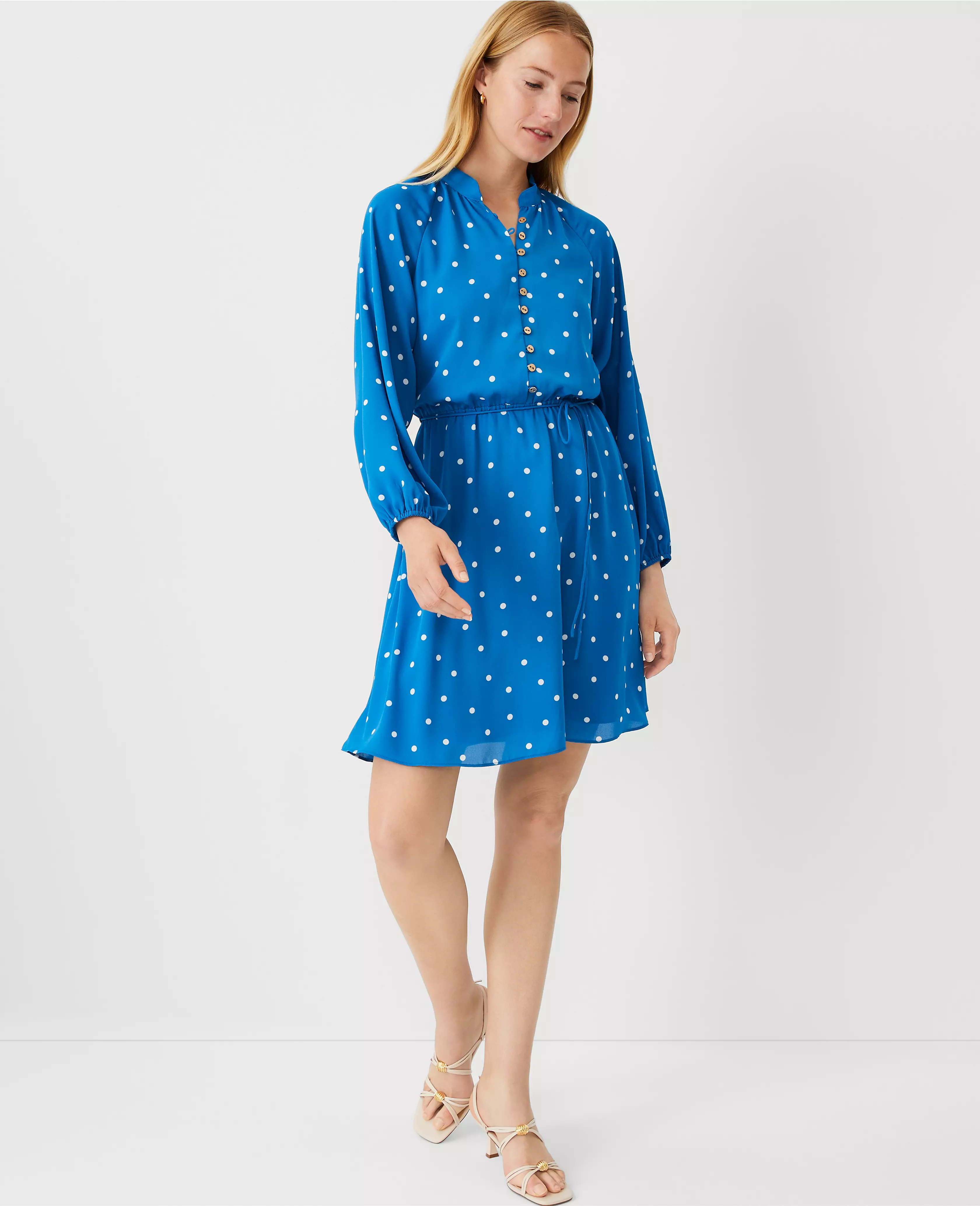 Dotted Flare Dress | Ann Taylor (US)