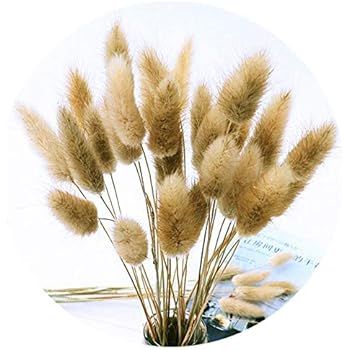 Color Life 110-120 Pcs Dried Natural Flowers Decoration |The Rabbit Tail Grass,Pampas Grass, Drie... | Amazon (US)