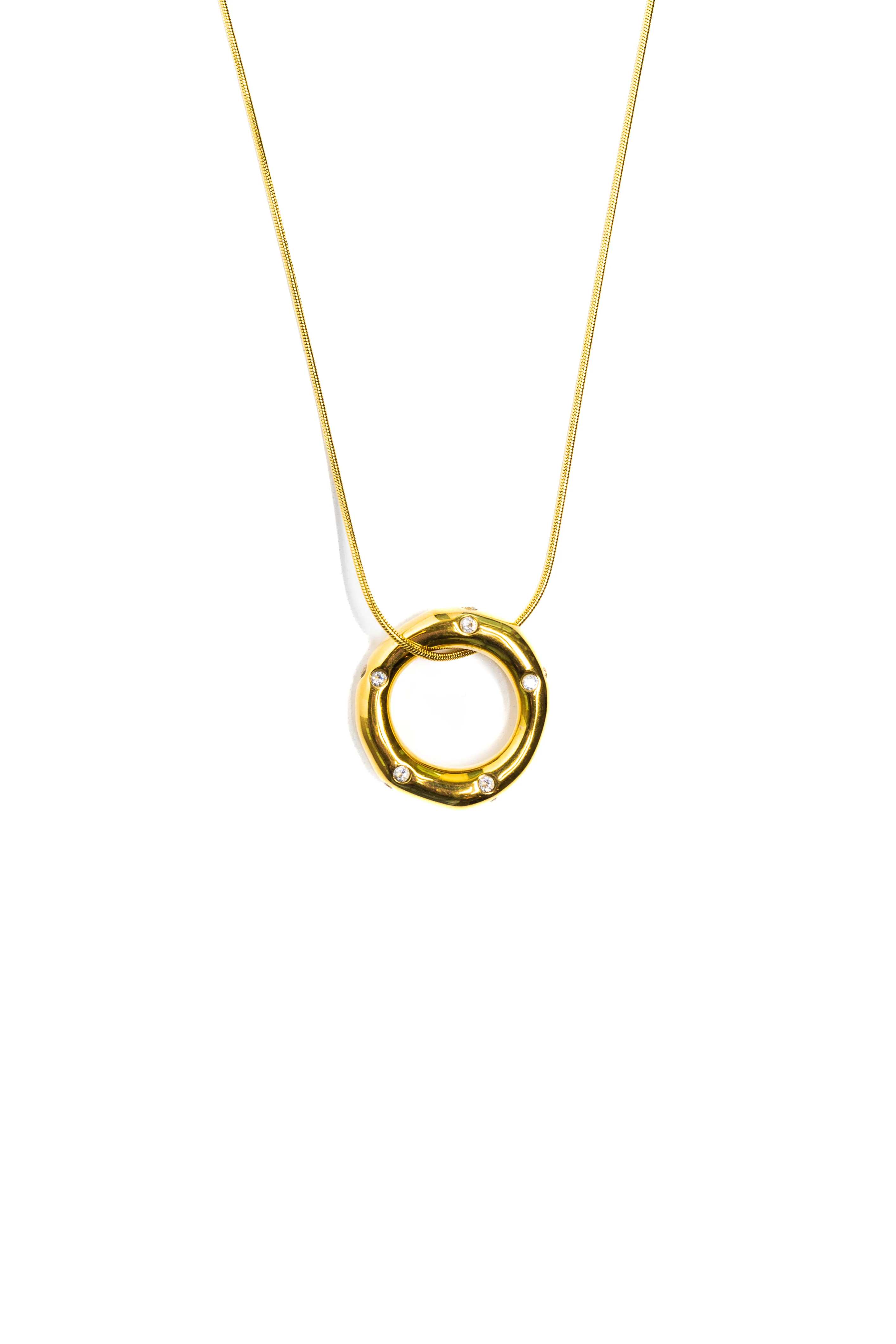 Evolution Ring Necklace | Lauren Amble Designs