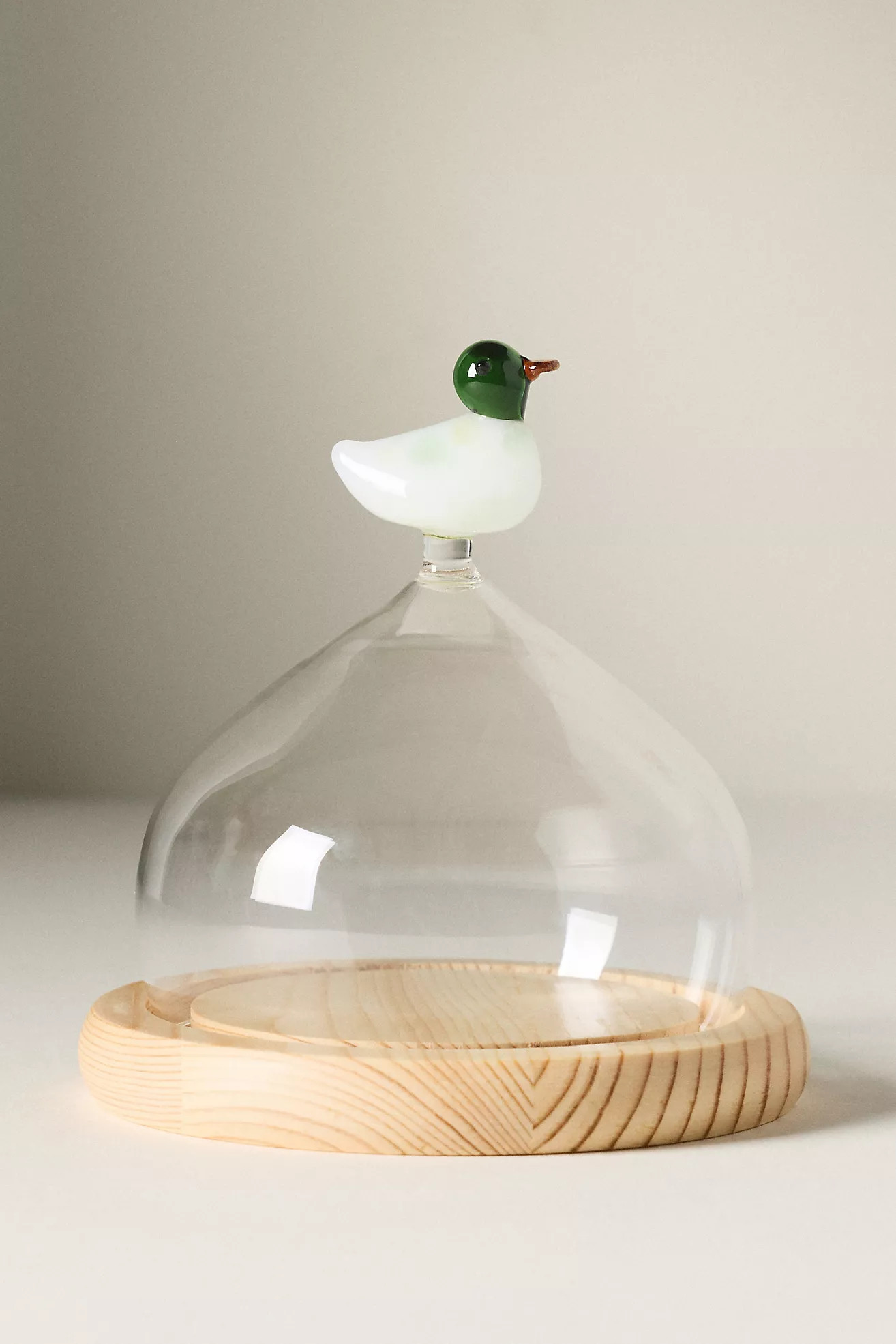 Glass Duck Cloche | Anthropologie (US)