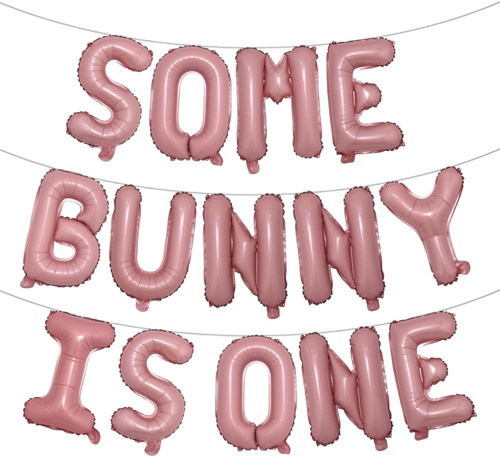 Some Bunny Is One First Birthday Party Supplies Balloons Happy Birthday Banner for Spring Easter ... | Amazon (US)