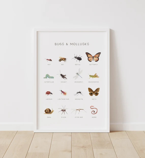 Educational Bugs Poster, Insects Print, Printable Wall Art, Montessori Homeschool Decor, Nature C... | Etsy (US)