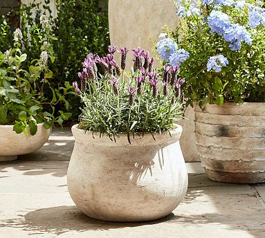 Artisan Handcrafted Cachepots | Pottery Barn (US)
