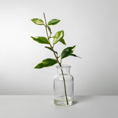 Faux Hoya Leaf Arrangement - Hearth & Hand™ with Magnolia | Target