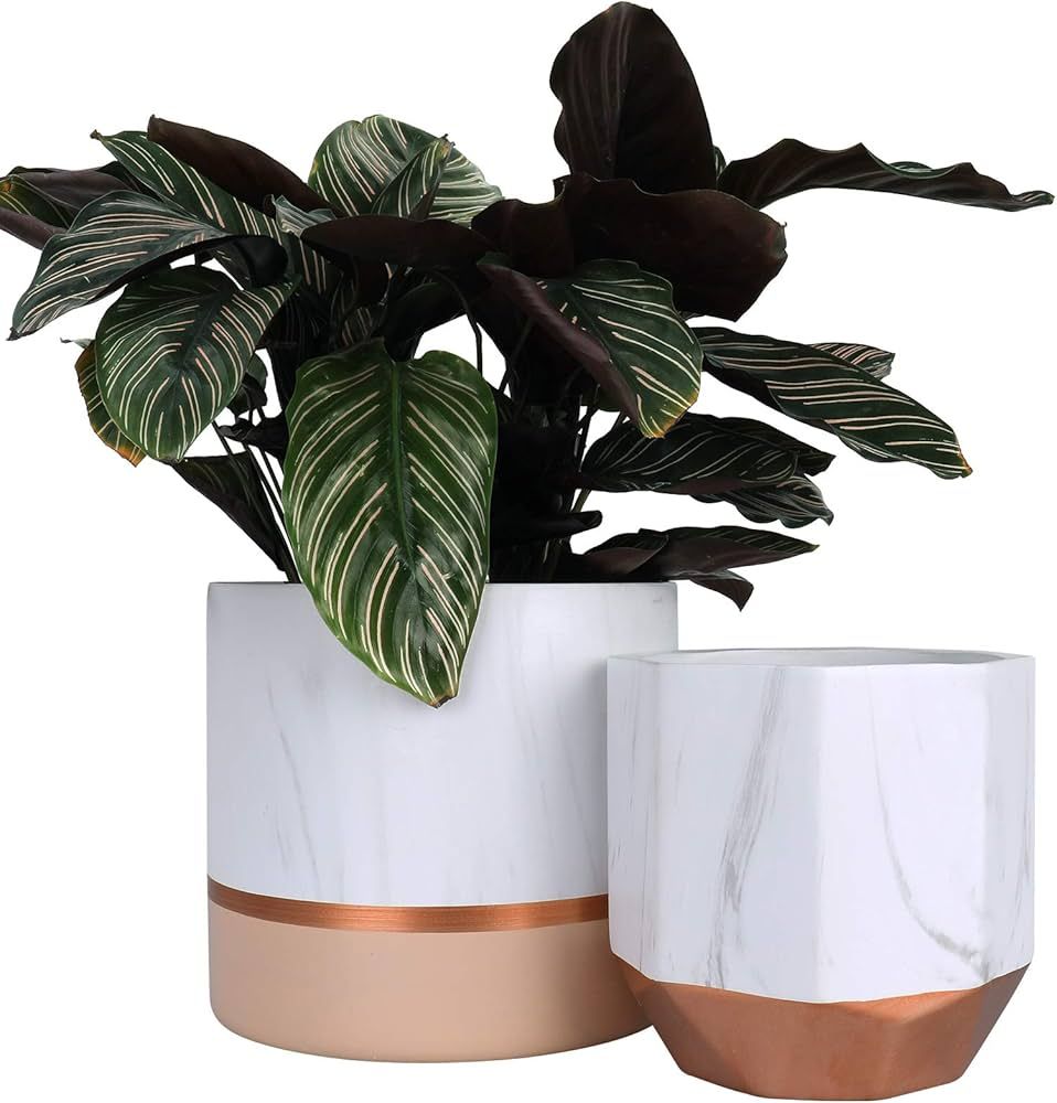 LA JOLIE MUSE White Ceramic Flower Pots - 6.7 + 5.4 Inch Indoor Planters, Plant Containers in a M... | Amazon (US)