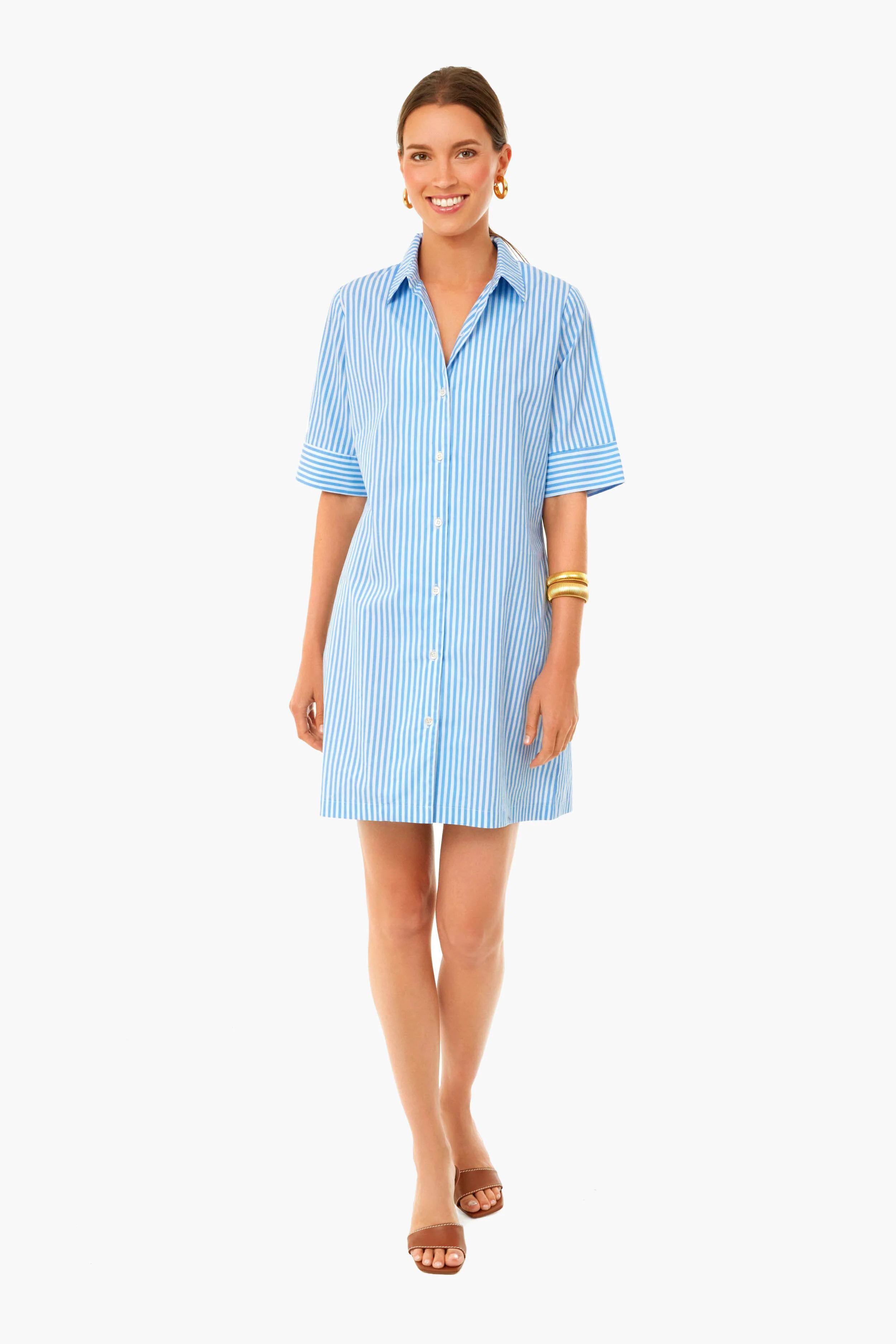 Cornflower Blue Stripe Lillian Shirt Dress | Tuckernuck (US)